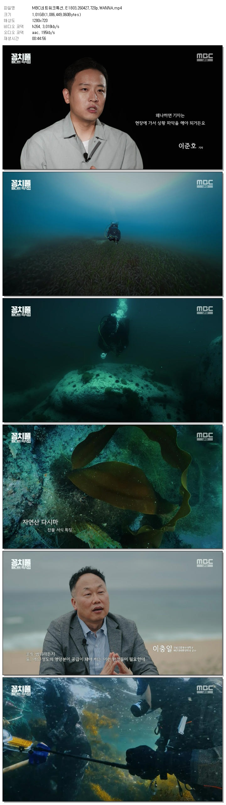 MBC네트워크특선.E1803.260427.720p.WANNA