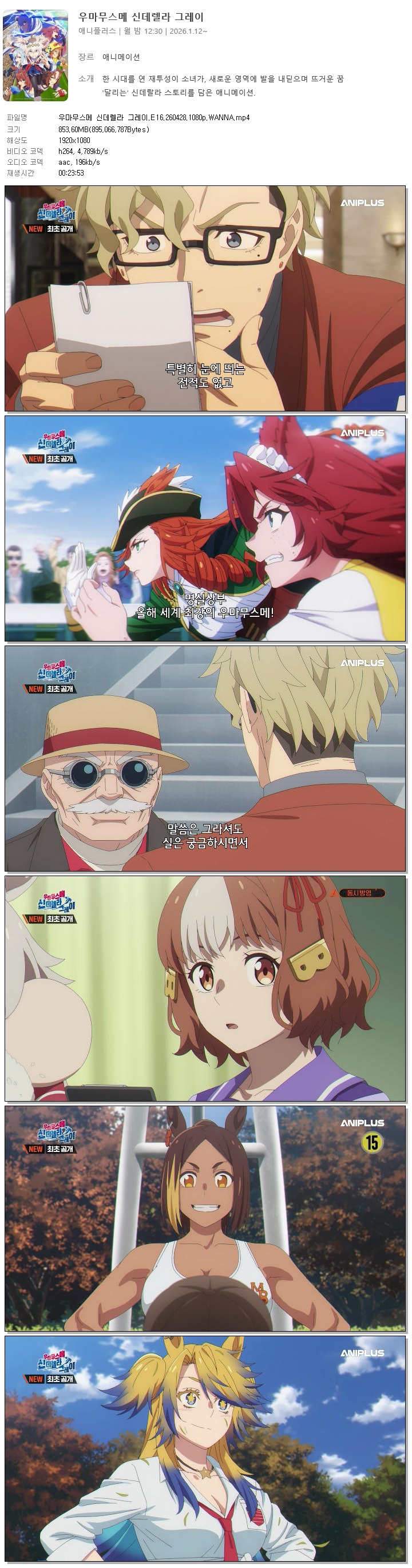 우마무스메 신데렐라 그레이.E16.260428.1080p.WANNA