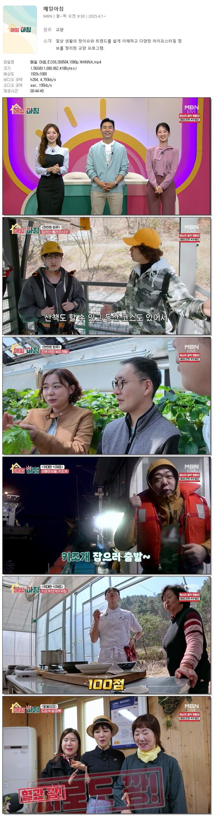 매일 아침.E208.260504.1080p.WANNA