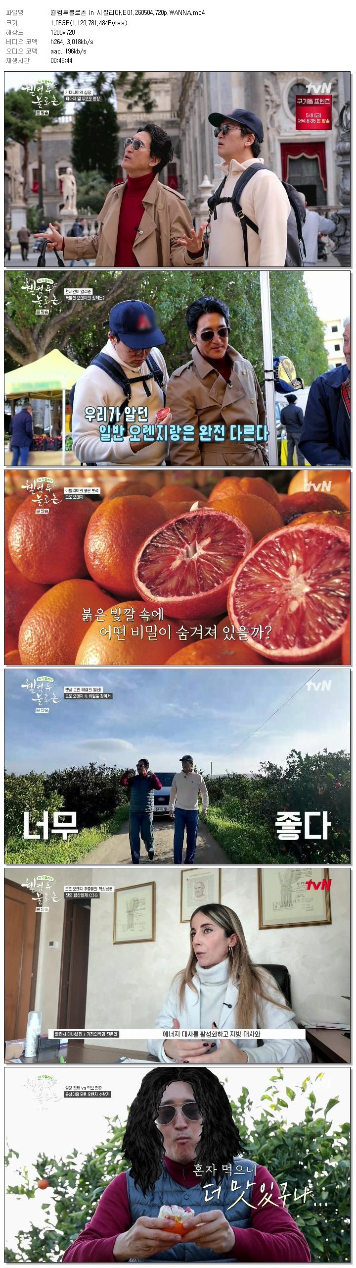 웰컴투불로촌 in 시칠리아.E01.260504.720p.WANNA