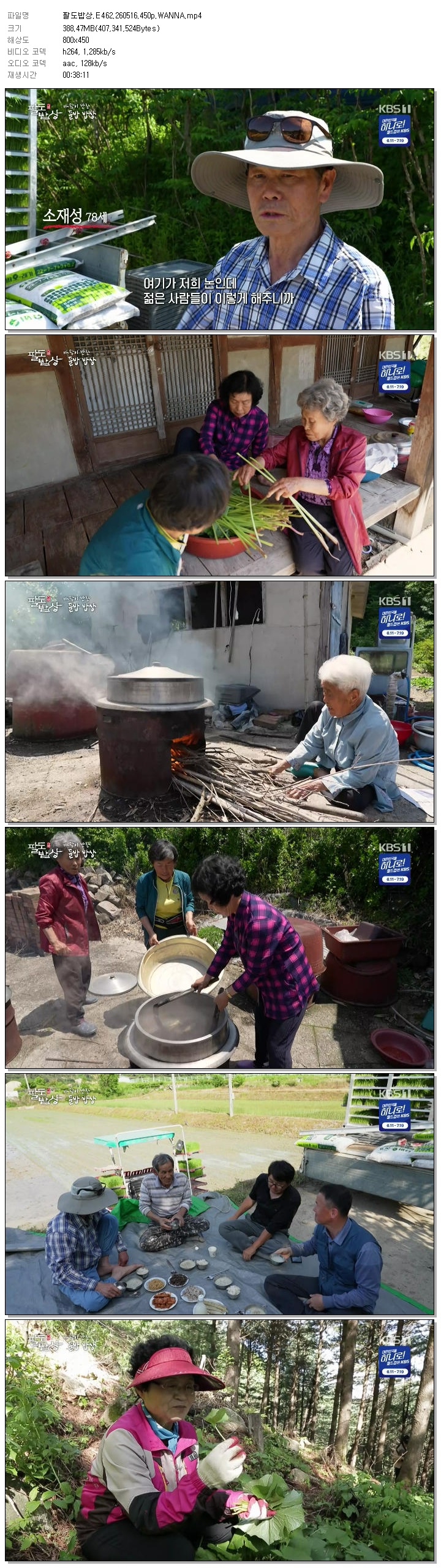 팔도밥상.E462.260516.450p.WANNA