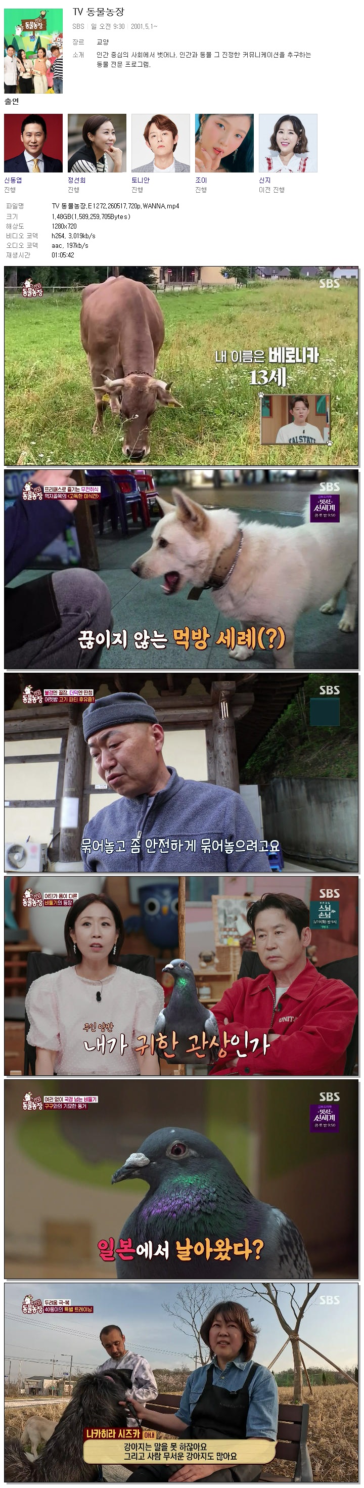 TV 동물농장.E1272.260517.720p.WANNA