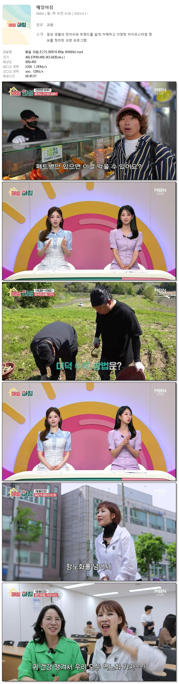 매일 아침.E215.260518.450p.WANNA