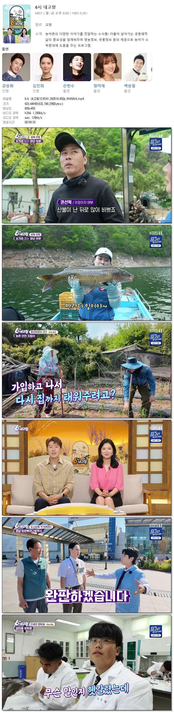 6시 내고향.E8541.260518.450p.WANNA