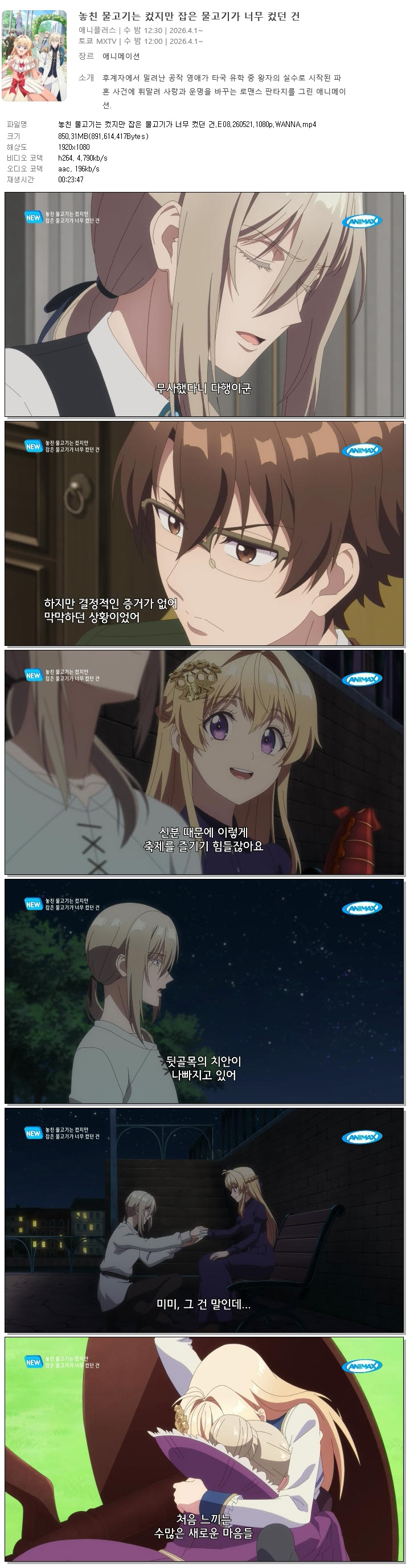 놓친 물고기는 컸지만 잡은 물고기가 너무 컸던 건.E08.260521.108..