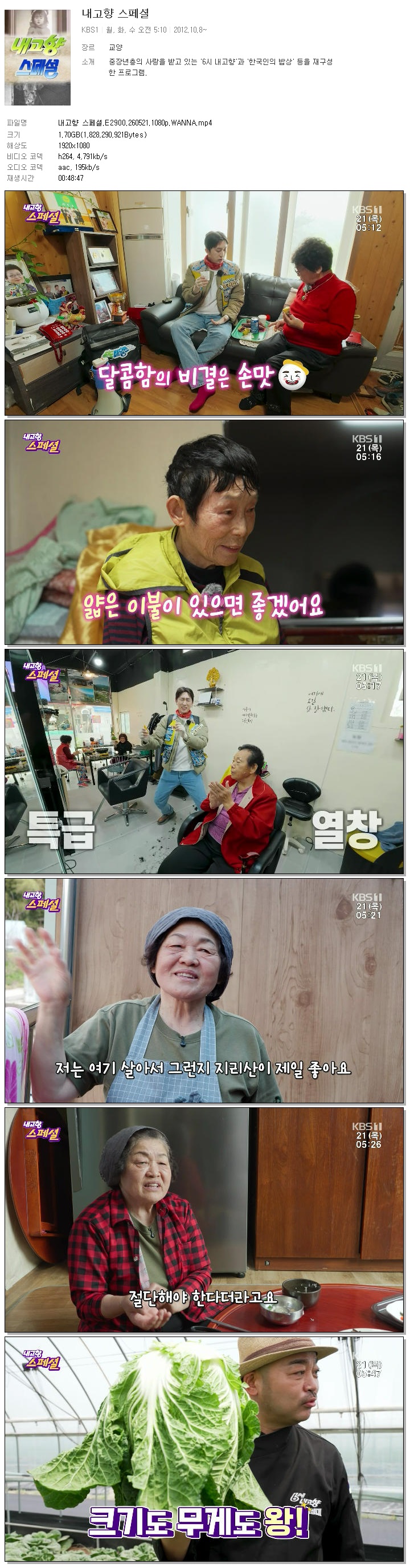 내고향 스페셜.E2900.260521.1080p.WANNA