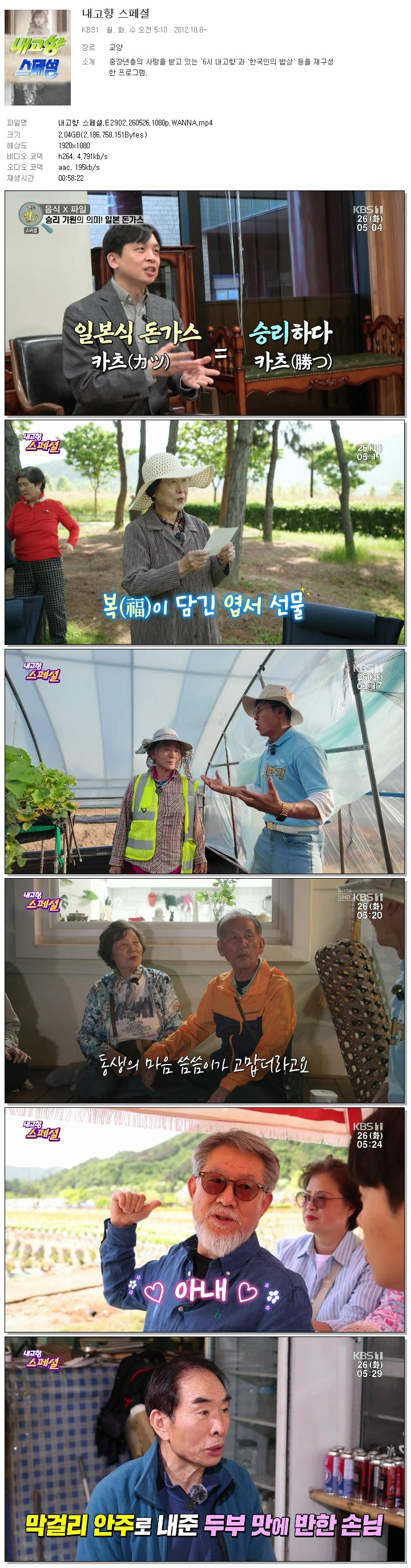 내고향 스페셜.E2902.260526.1080p.WANNA