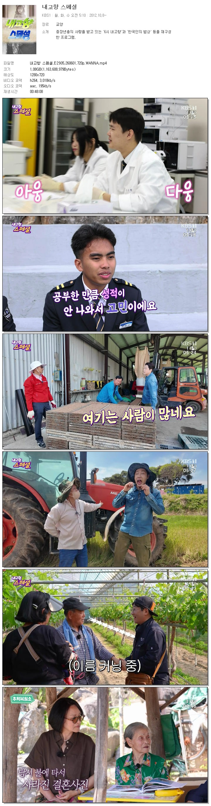 내고향 스페셜.E2905.260601.720p.WANNA
