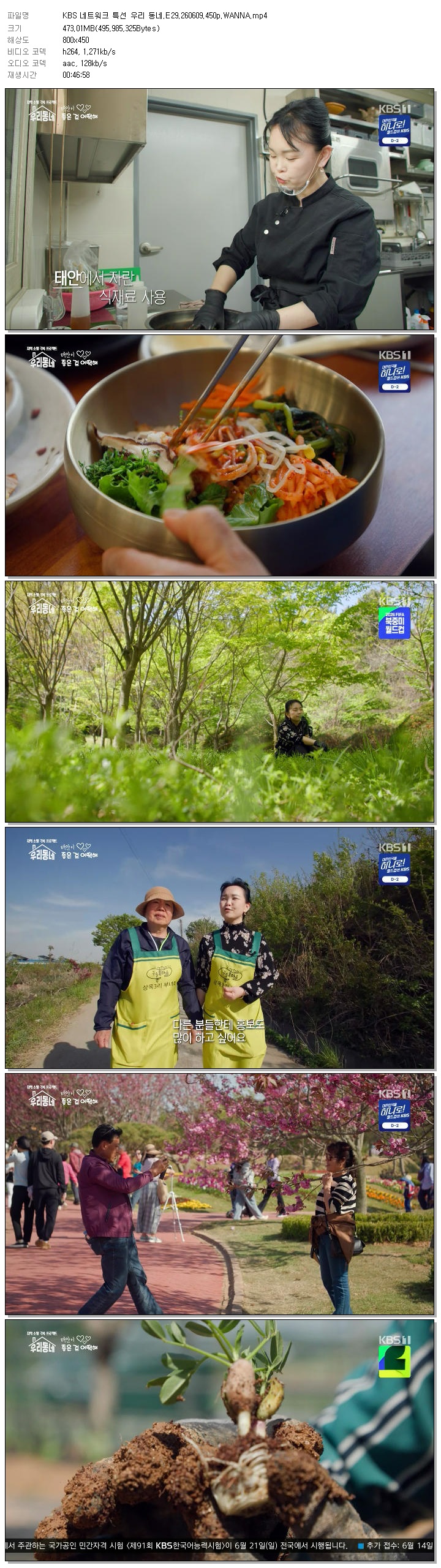 KBS 네트워크 특선 우리 동네.E29.260609.450p.WANNA