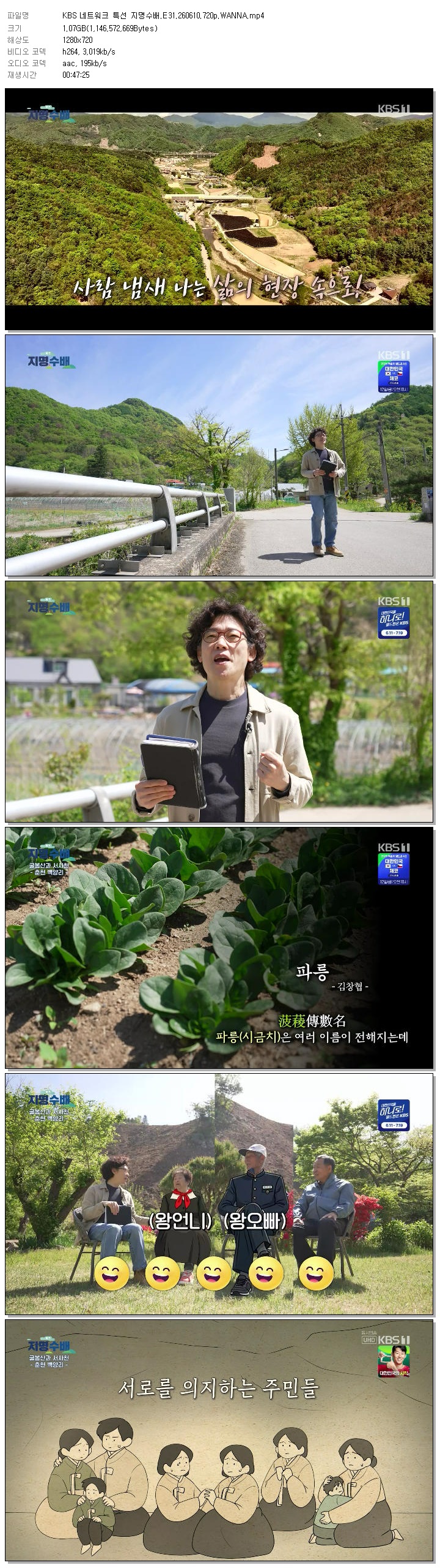 KBS 네트워크 특선 지명수배.E31.260610.720p.WANNA