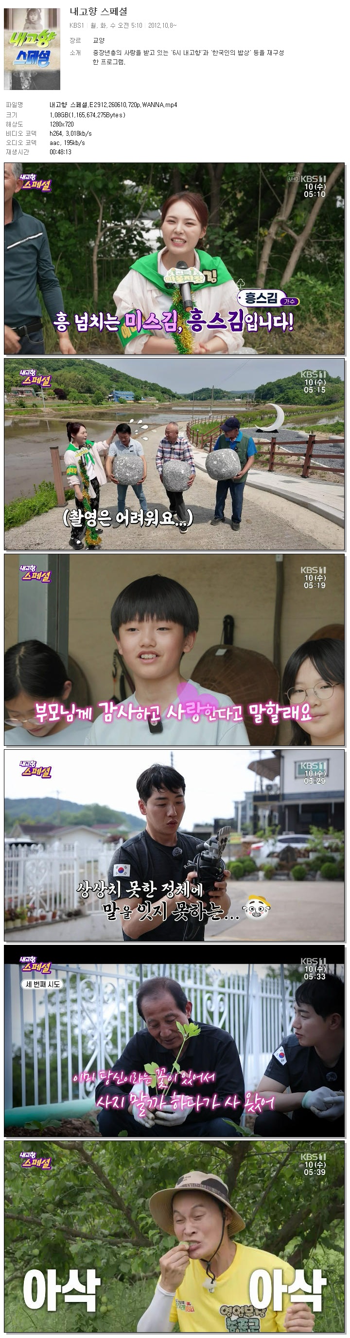 내고향 스페셜.E2912.260610.720p.WANNA