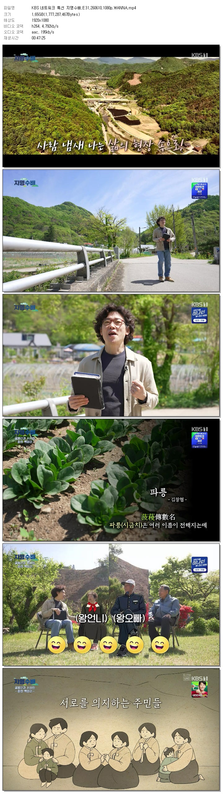 KBS 네트워크 특선 지명수배.E31.260610.1080p.WANNA