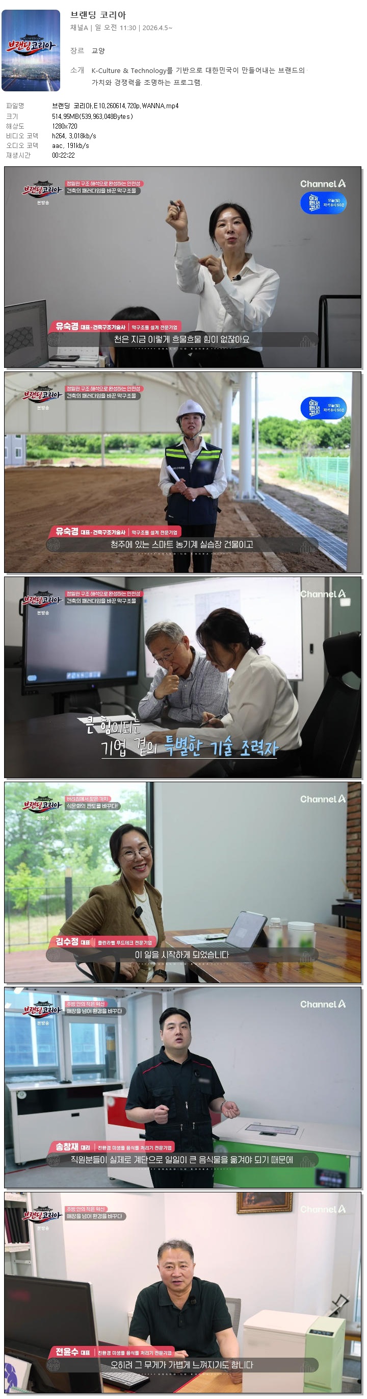 브랜딩 코리아.E10.260614.720p.WANNA
