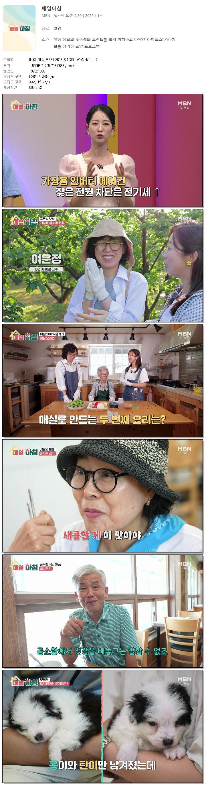 매일 아침.E231.260618.1080p.WANNA