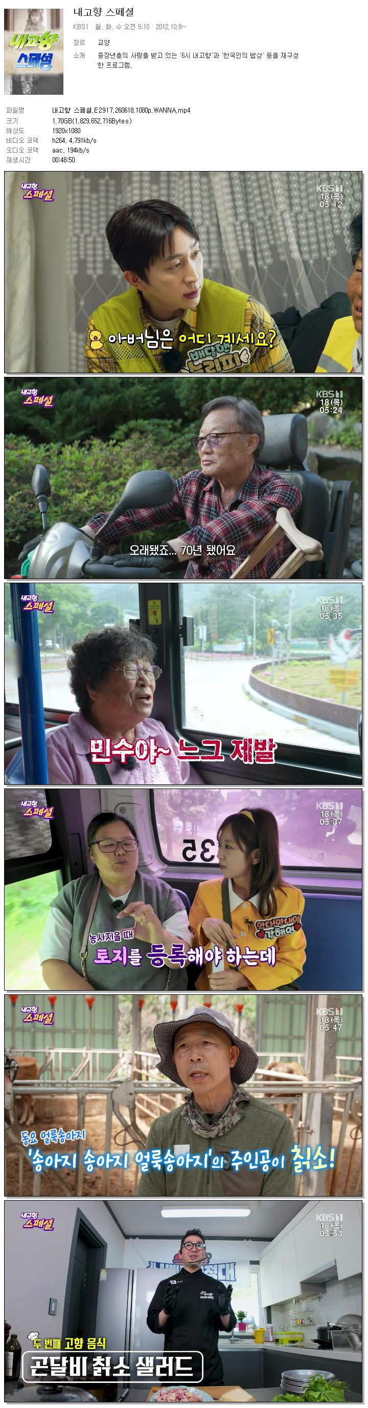 내고향 스페셜.E2917.260618.1080p.WANNA