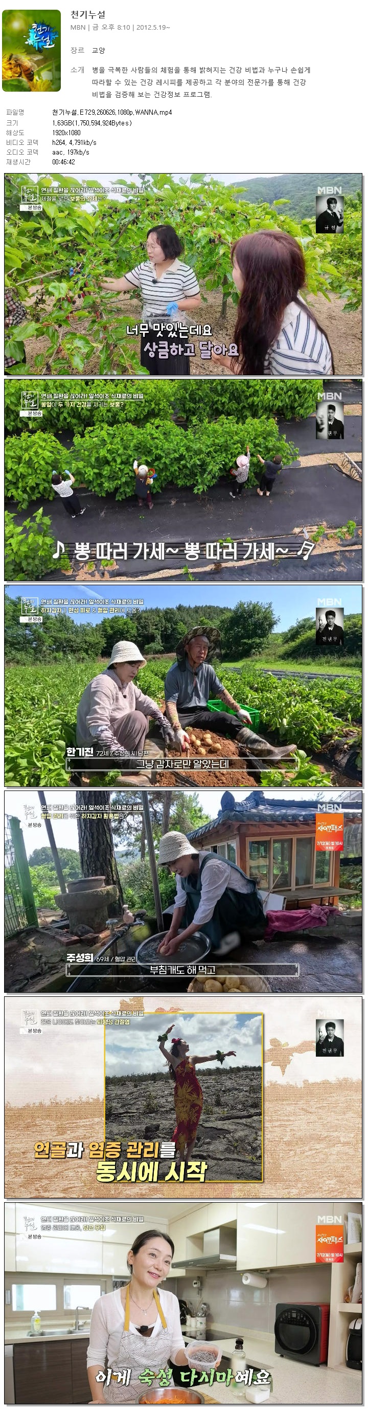 천기누설.E729.260626.1080p.WANNA