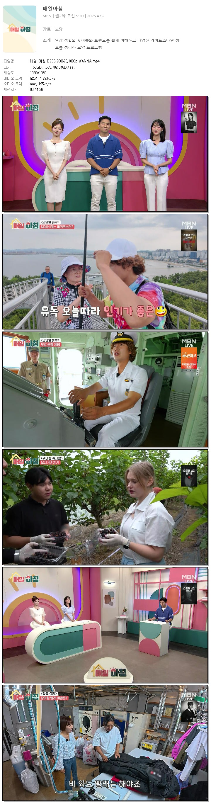 매일 아침.E236.260629.1080p.WANNA