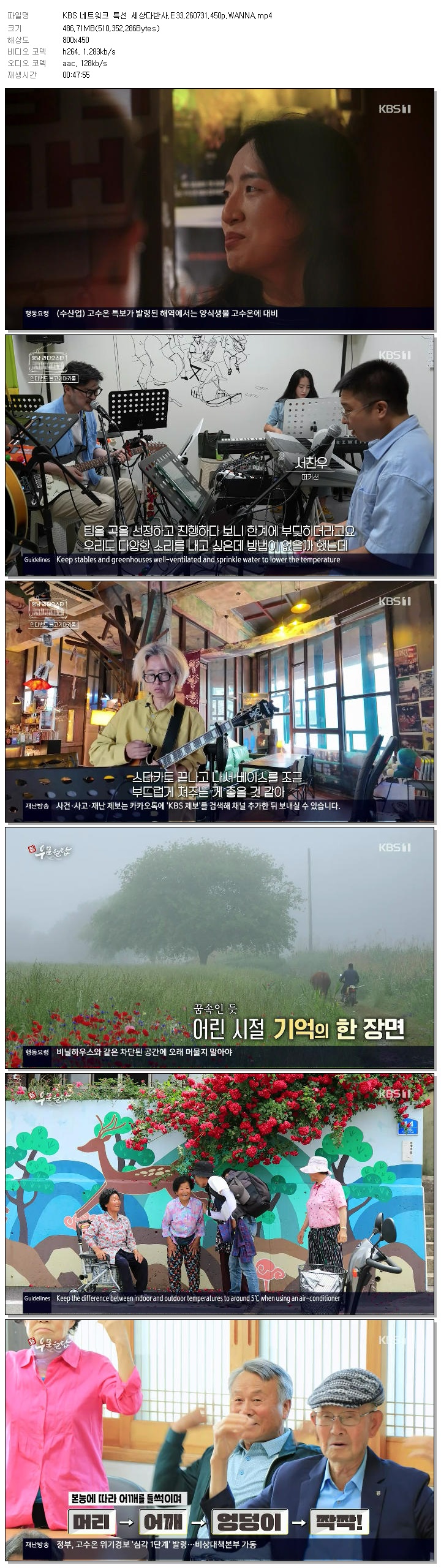 KBS 네트워크 특선 세상다반사.E33.260731.450p.WANNA