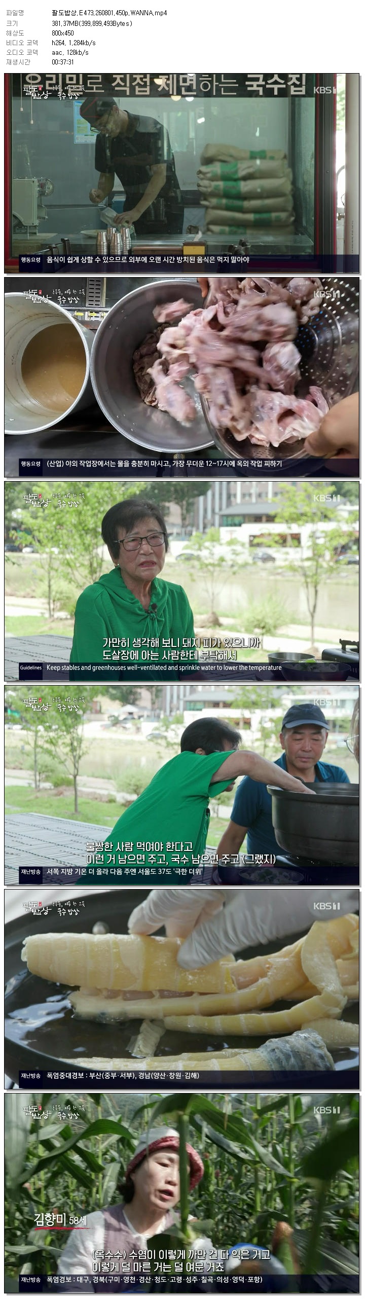 팔도밥상.E473.260801.450p.WANNA