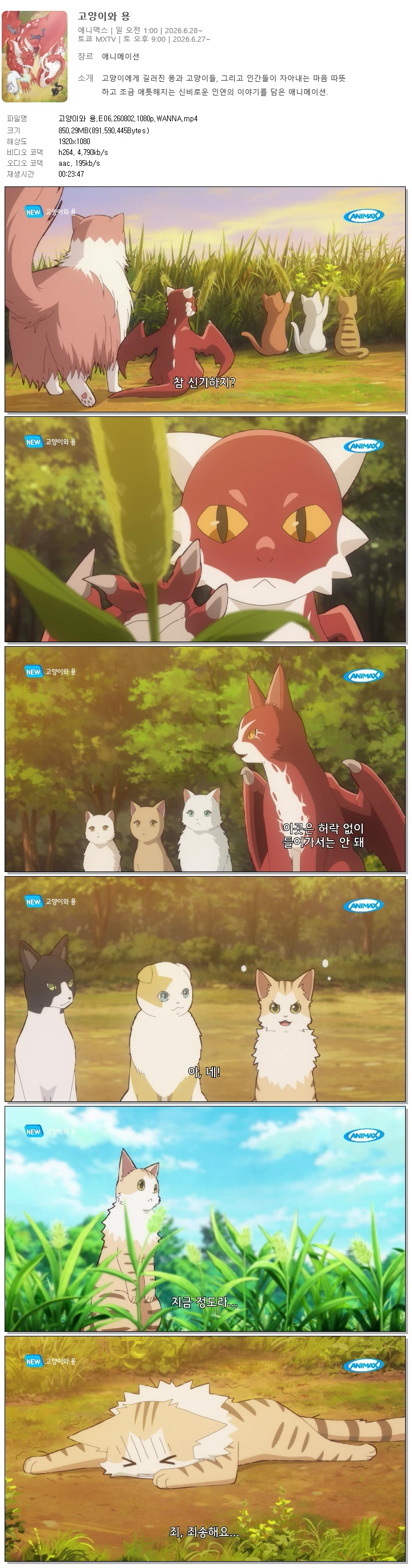 고양이와 용.E06.260802.1080p.WANNA