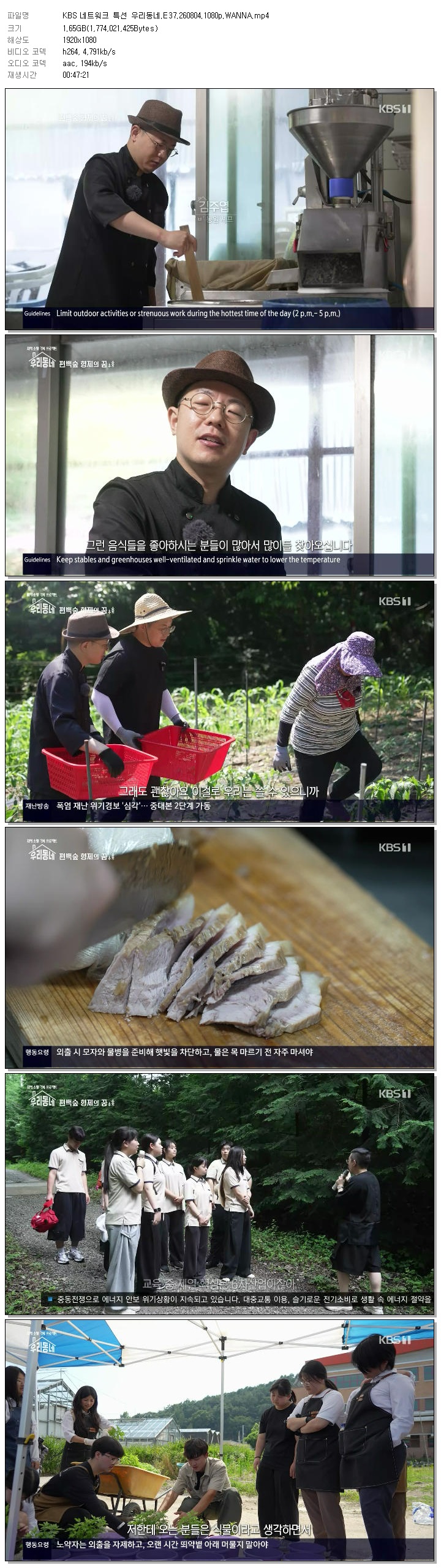 KBS 네트워크 특선 우리동네.E37.260804.1080p.WANNA
