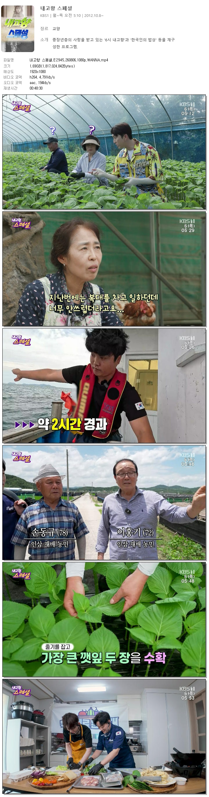 내고향 스페셜.E2945.260806.1080p.WANNA