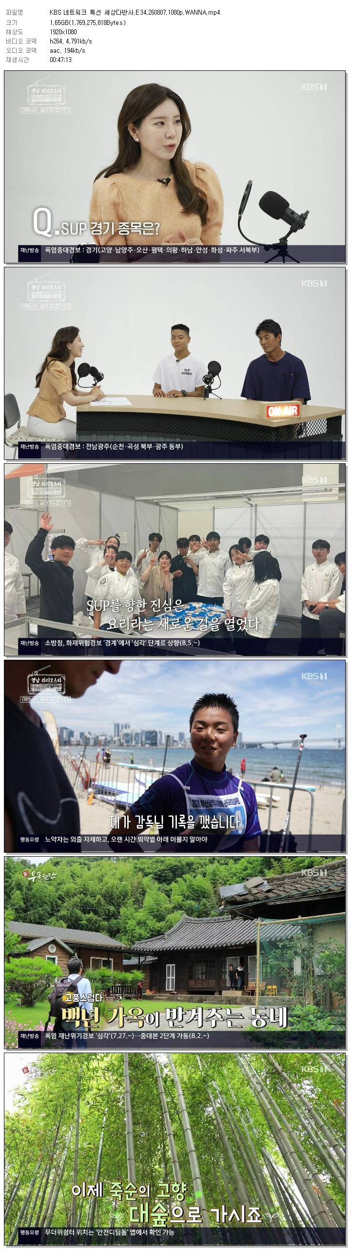 KBS 네트워크 특선 세상다반사.E34.260807.1080p.WANNA
