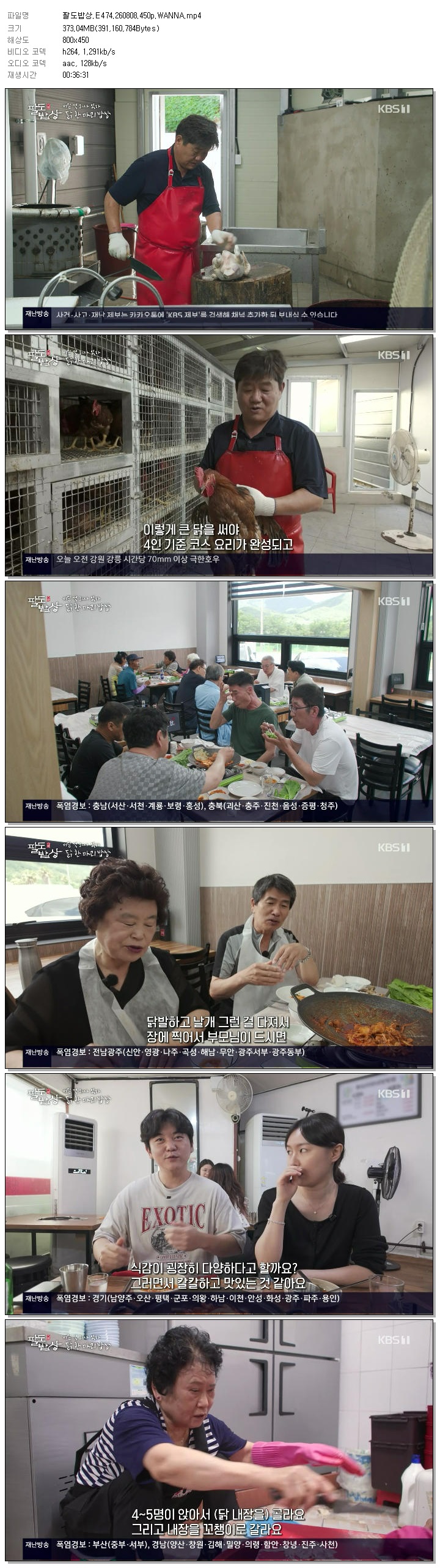 팔도밥상.E474.260808.450p.WANNA