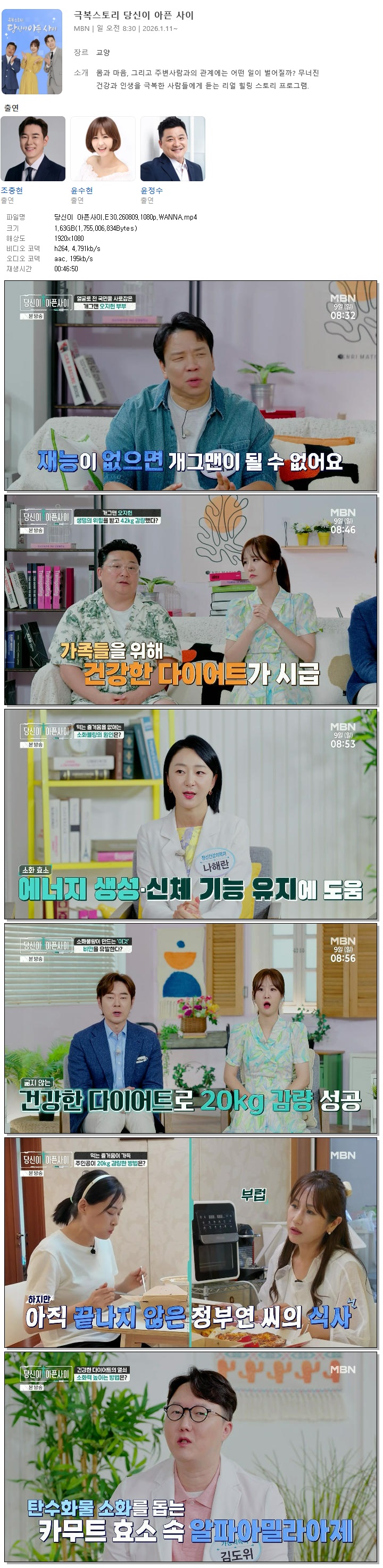 당신이 아픈사이.E30.260809.1080p.WANNA