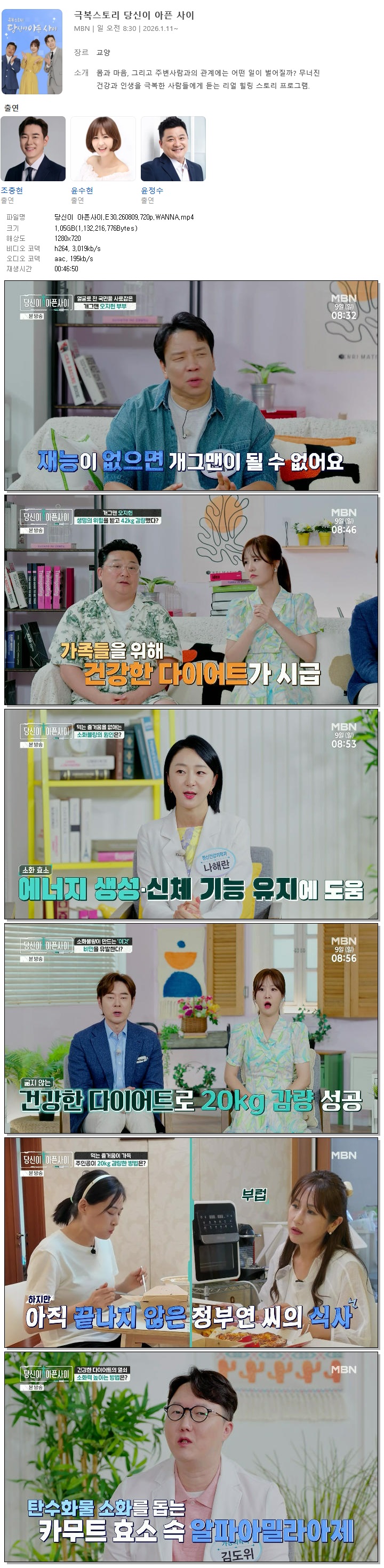 당신이 아픈사이.E30.260809.720p.WANNA