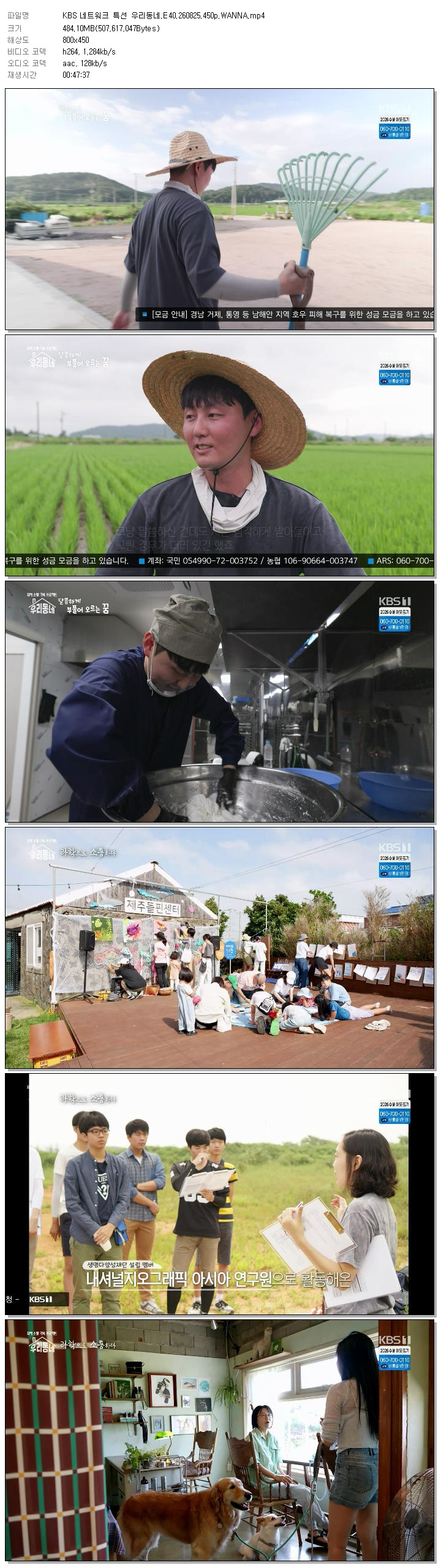 KBS 네트워크 특선 우리동네.E40.260825.450p.WANNA