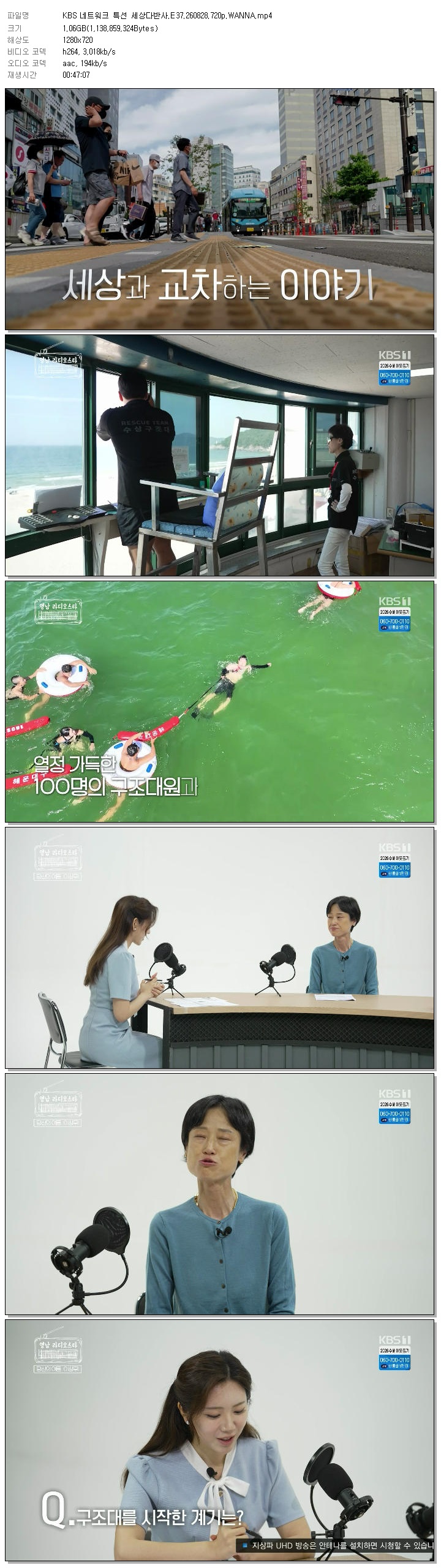 KBS 네트워크 특선 세상다반사.E37.260828.720p.WANNA