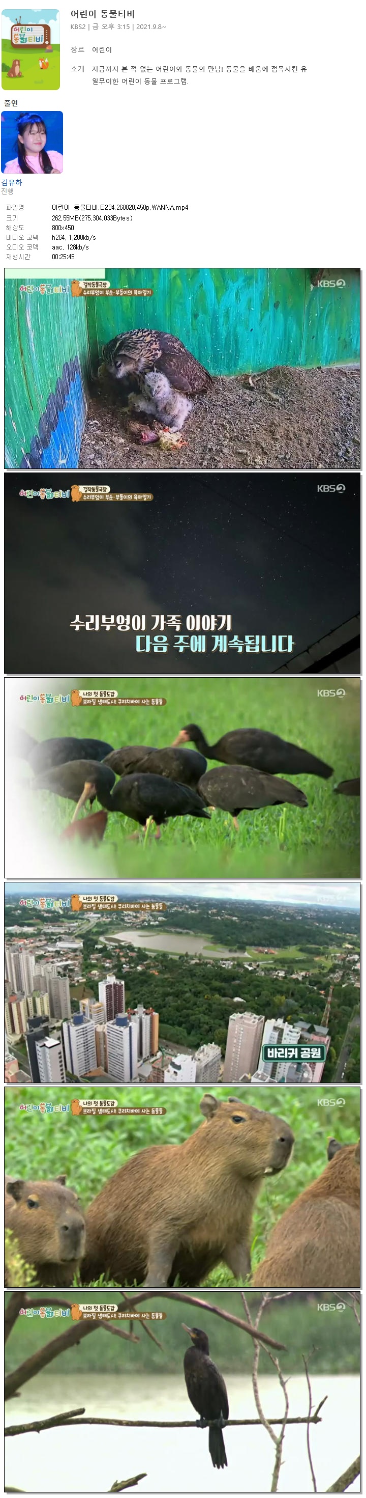 어린이 동물티비.E234.260828.450p.WANNA
