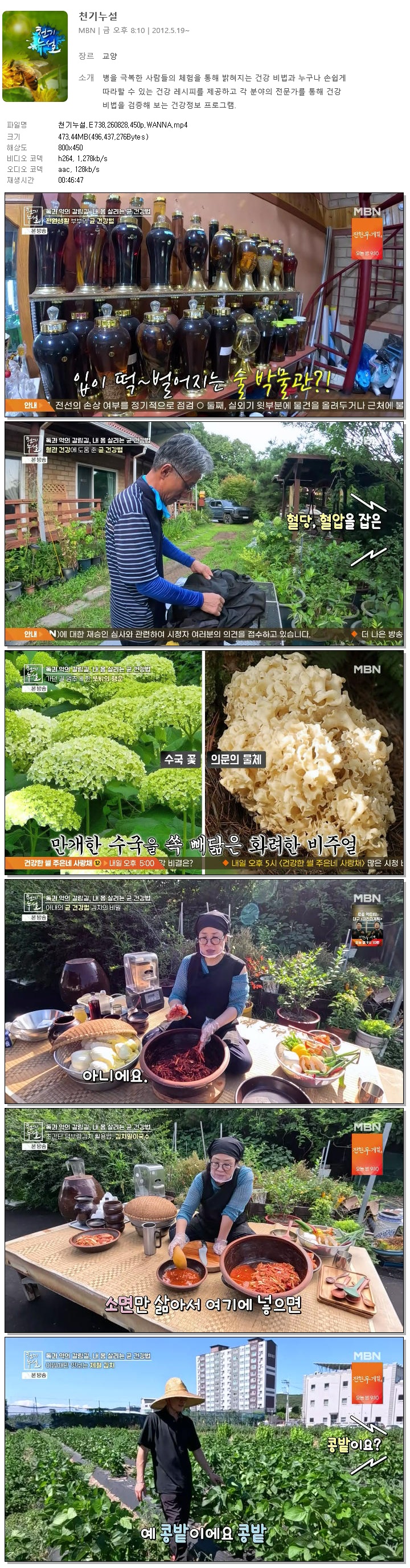 천기누설.E738.260828.450p.WANNA