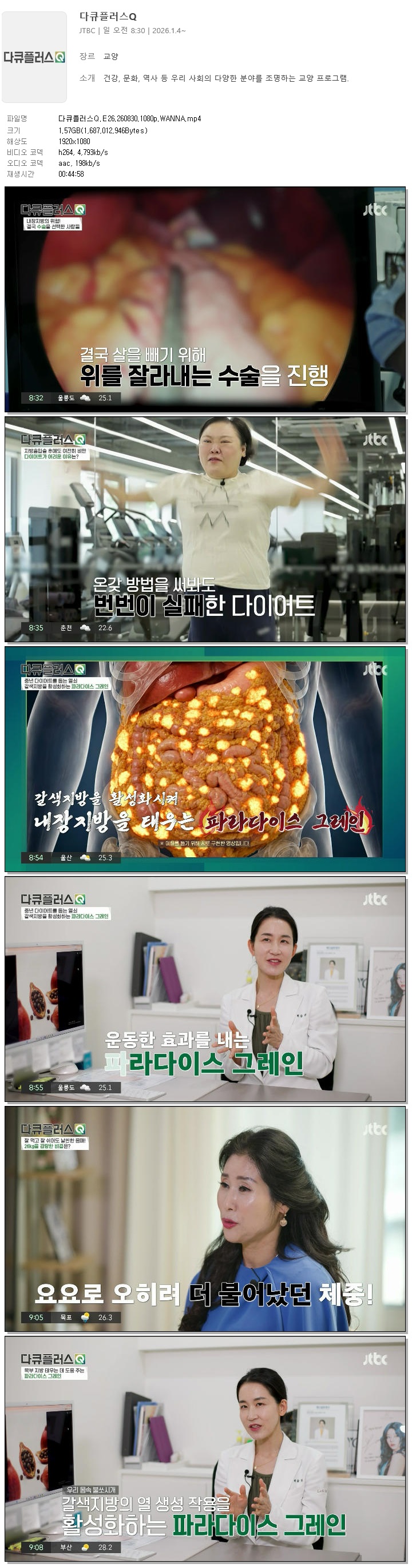 다큐플러스Q.E26.260830.1080p.WANNA