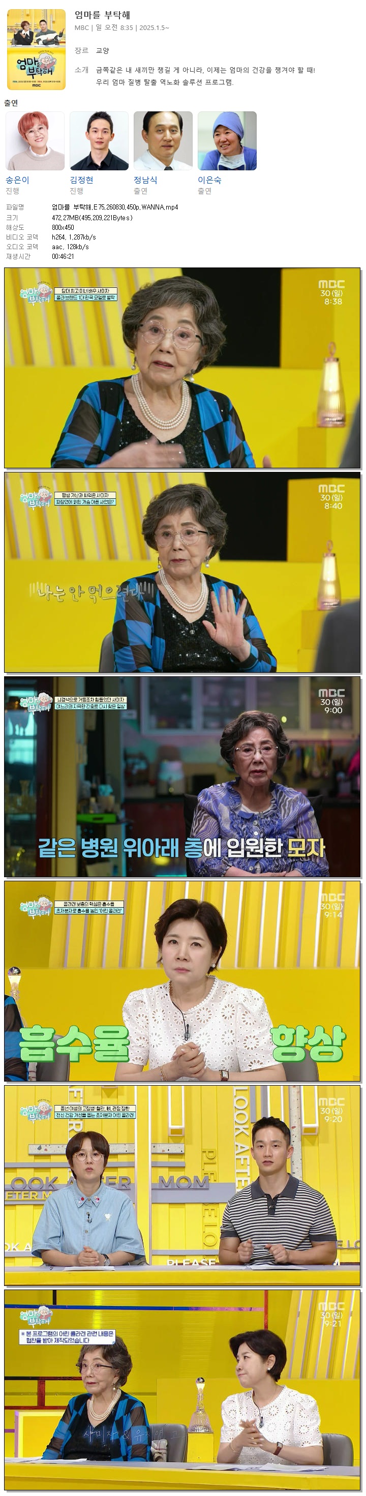 엄마를 부탁해.E75.260830.450p.WANNA