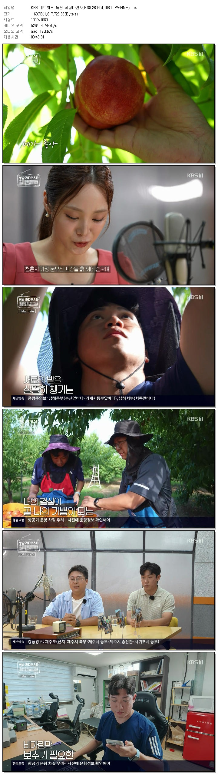 KBS 네트워크 특선 세상다반사.E38.260904.1080p.WANNA