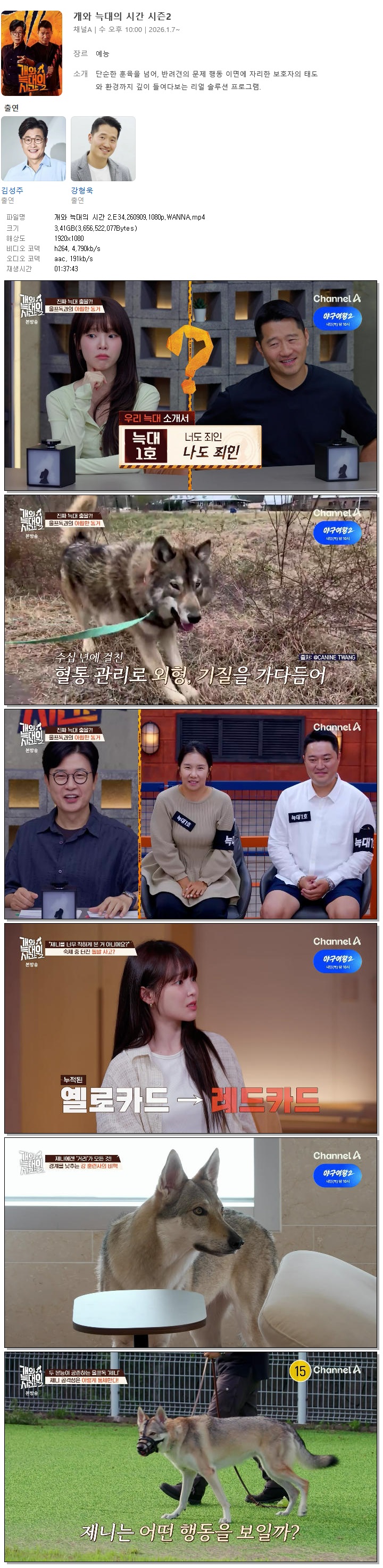 개와 늑대의 시간 2.E34.260909.1080p.WANNA