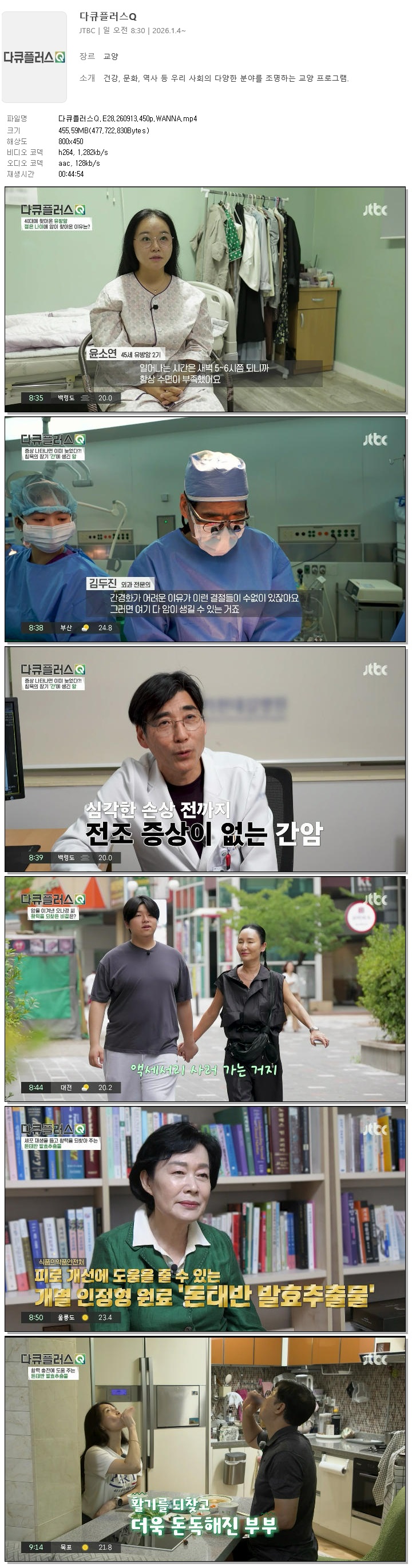 다큐플러스Q.E28.260913.450p.WANNA