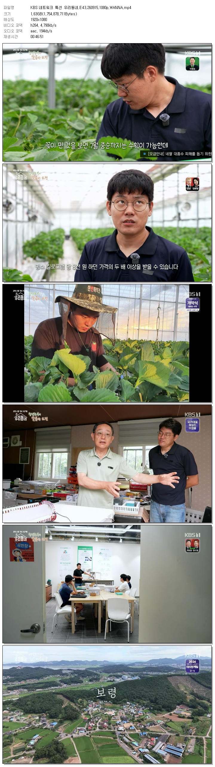 KBS 네트워크 특선 우리동네.E43.260915.1080p.WANNA