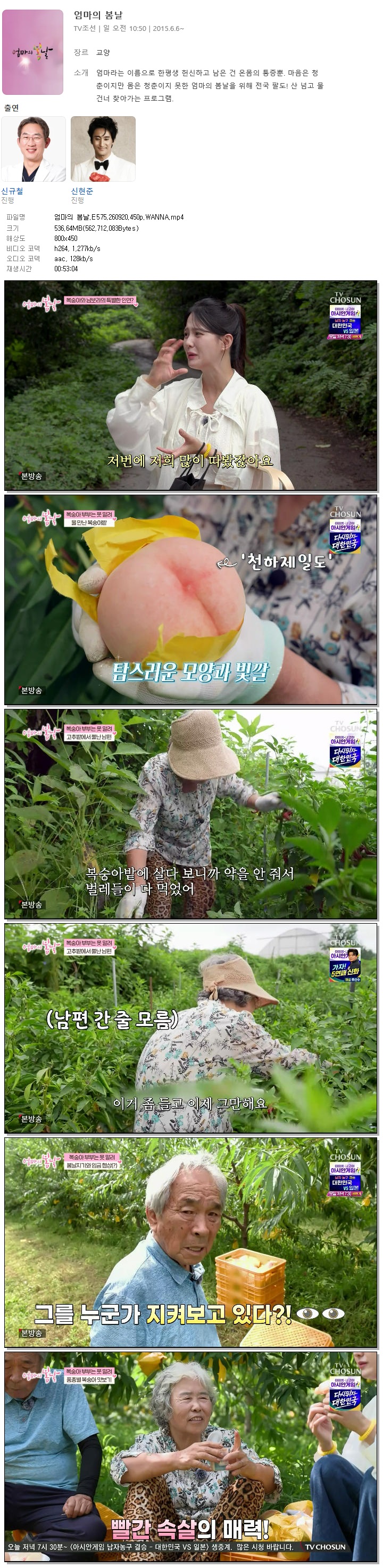 엄마의 봄날.E575.260920.450p.WANNA
