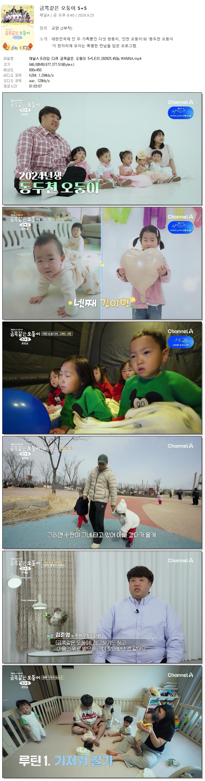 채널A 프라임 다큐 금쪽같은 오둥이 5+5.E01.260925.450p.WANNA
