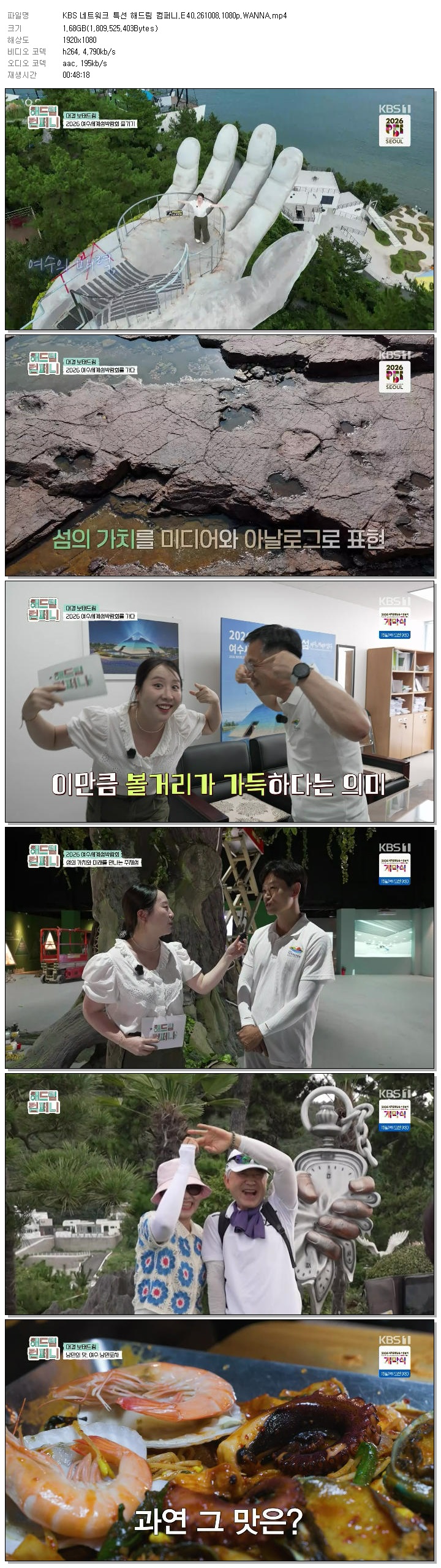 KBS 네트워크 특선 해드림 컴퍼니.E40.261008.1080p.WANNA