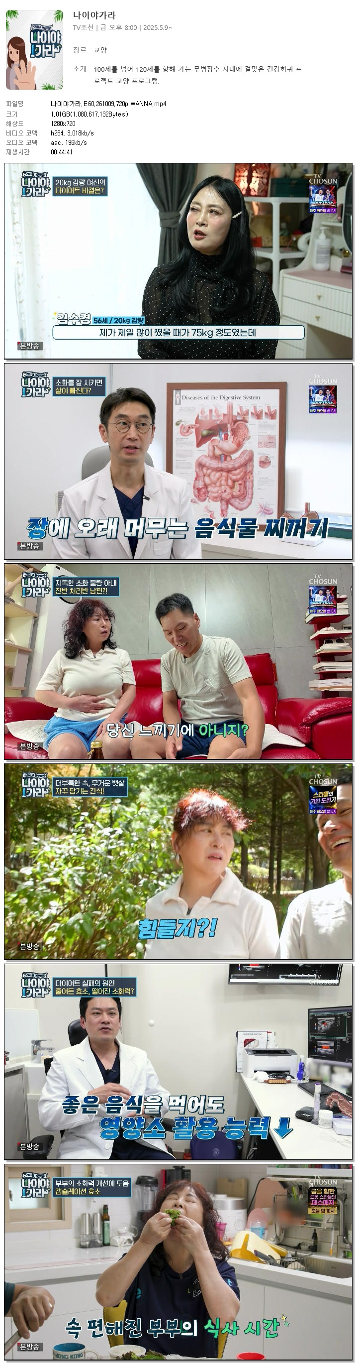 나이야가라.E60.261009.720p.WANNA