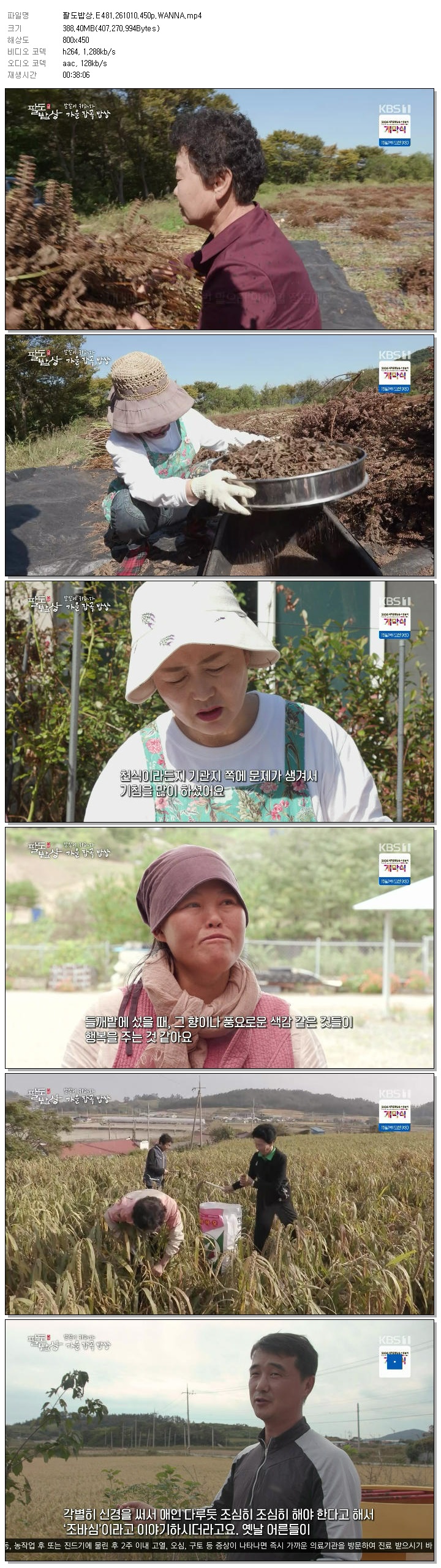팔도밥상.E481.261010.450p.WANNA
