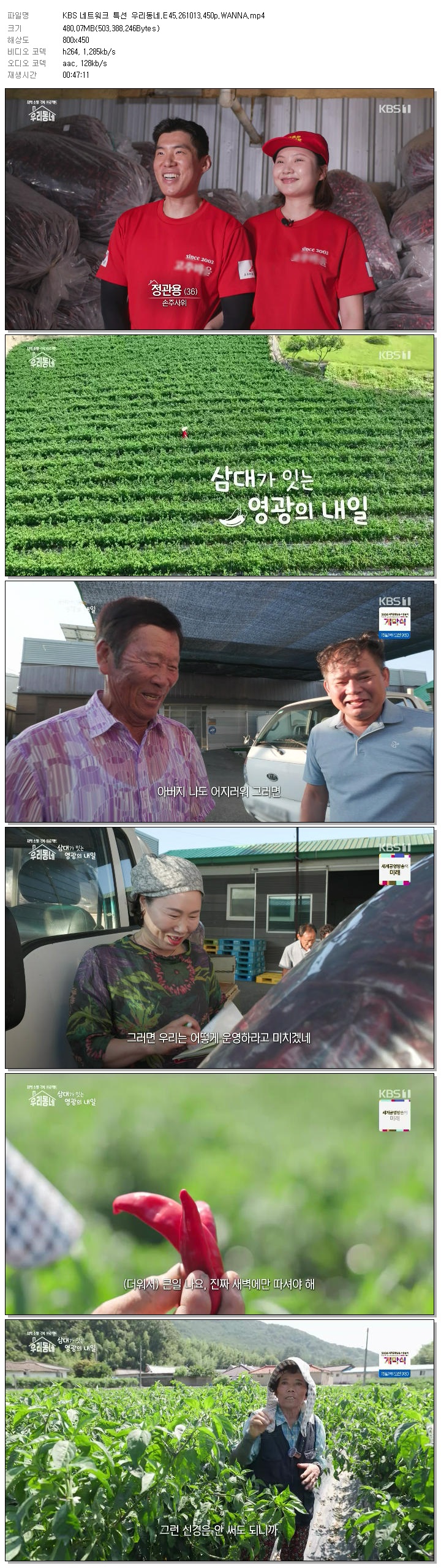 KBS 네트워크 특선 우리동네.E45.261013.450p.WANNA