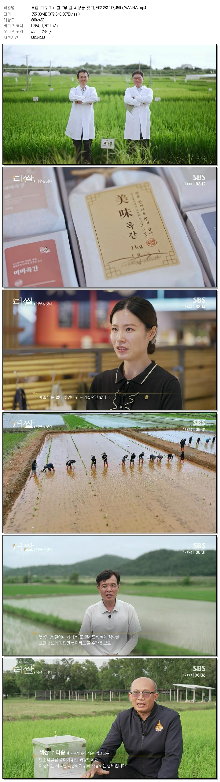 특집 다큐 The 쌀 2부 쌀 취향을 짓다.E02.261017.450p.WANNA