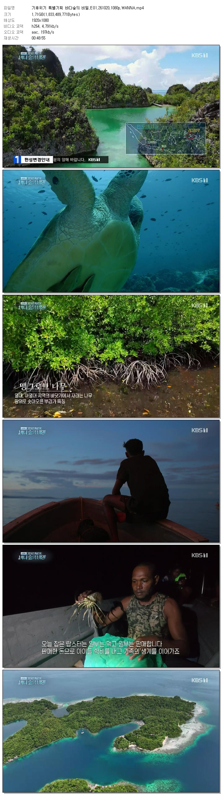 기후위기 특별기획 바다숲의 비밀.E01.261020.1080p.WANNA