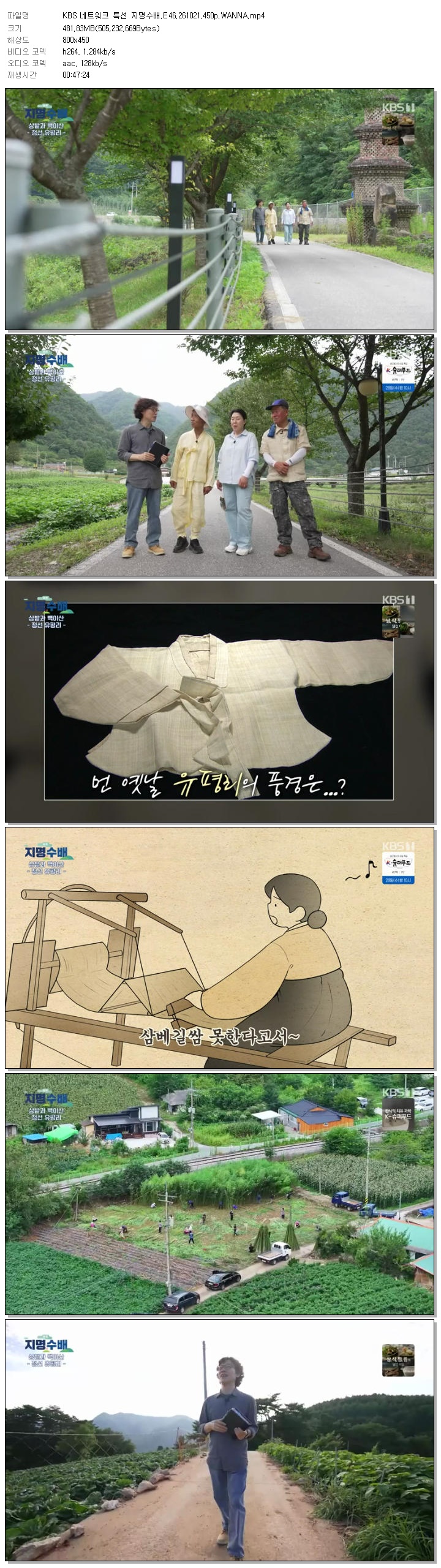 KBS 네트워크 특선 지명수배.E46.261021.450p.WANNA