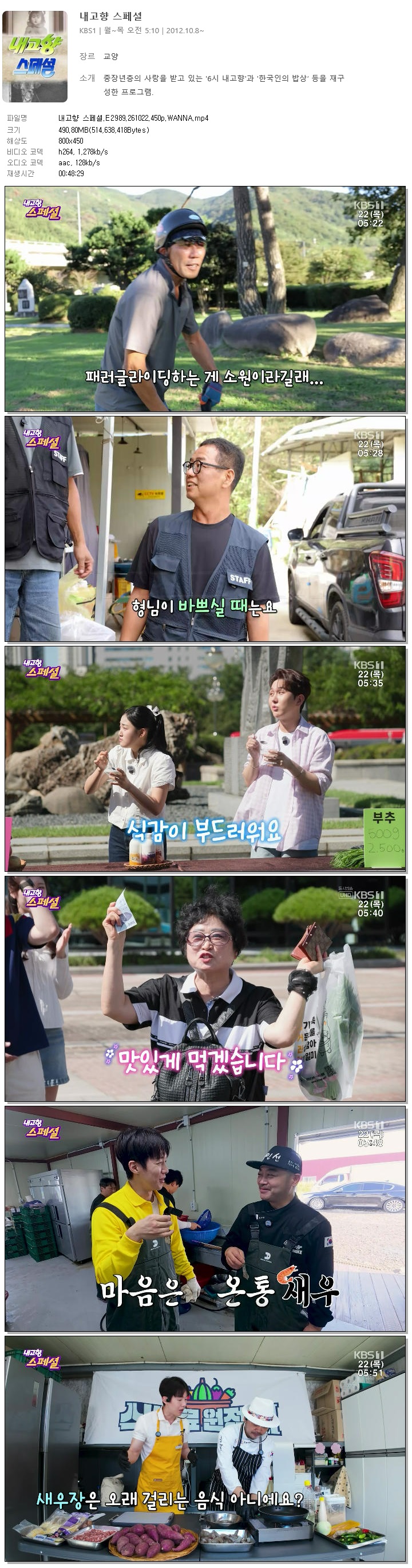 내고향 스페셜.E2989.261022.450p.WANNA
